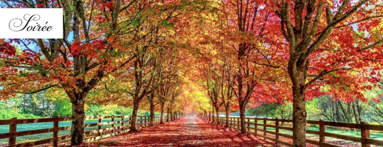 Image of an autumn scene with a leaf covered road and trees with vibrant red and golden leaves.